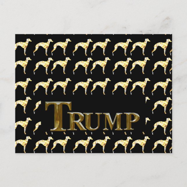 CARTÃO POSTAL TRUMP 2024 (Frente)