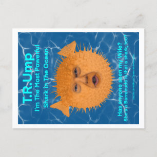 Cartão Postal Trump The Blowfish