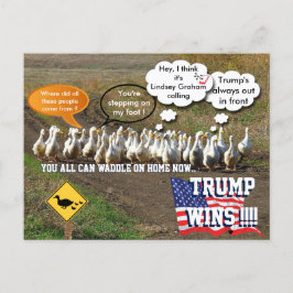 Cartão Postal Trump vence