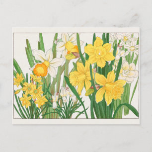 Cartão Postal Trumpet narcissus de Tanigami Konan