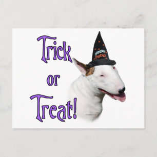 Cartão Postal Truque Bull Terrier