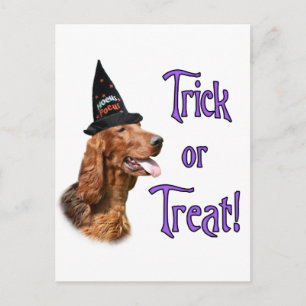 Cartão Postal Truque de Irish Setter