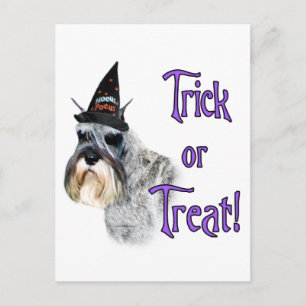Cartão Postal Truque de Miniatura Schnauzer