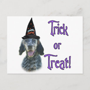 Cartão Postal Truque do Setter Inglês