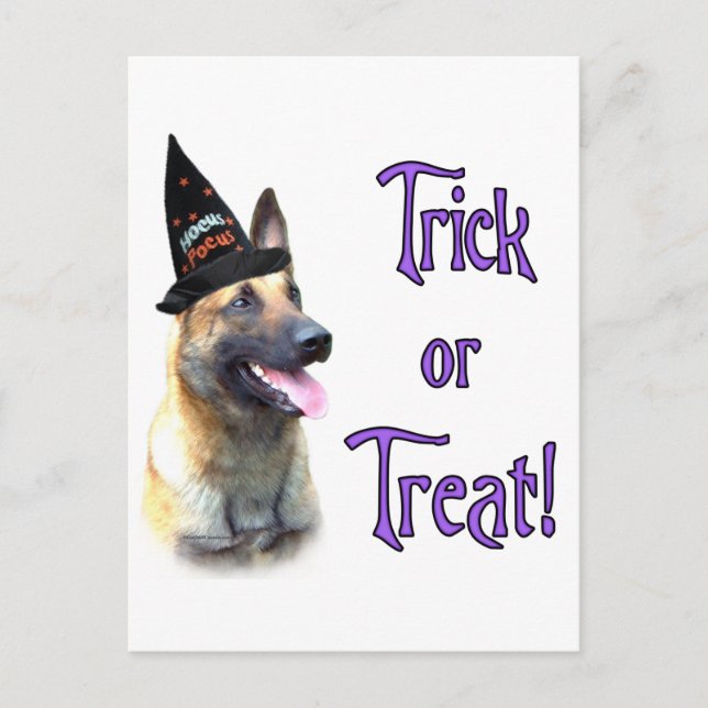 Cartão Postal Truque Malinois Belga (Frente)