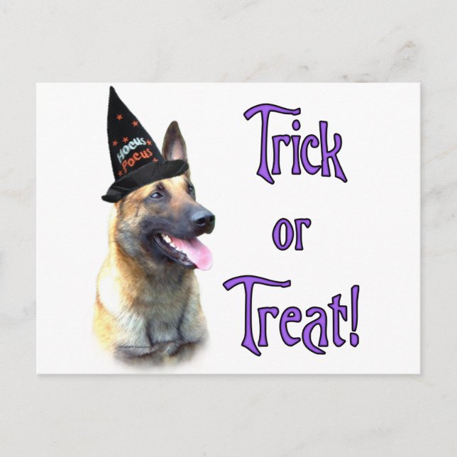 Cartão Postal Truque Malinois Belga (Frente)