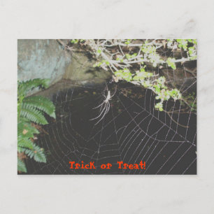 Cartão Postal Truque ou Tratar! Cartão-postal Halloween