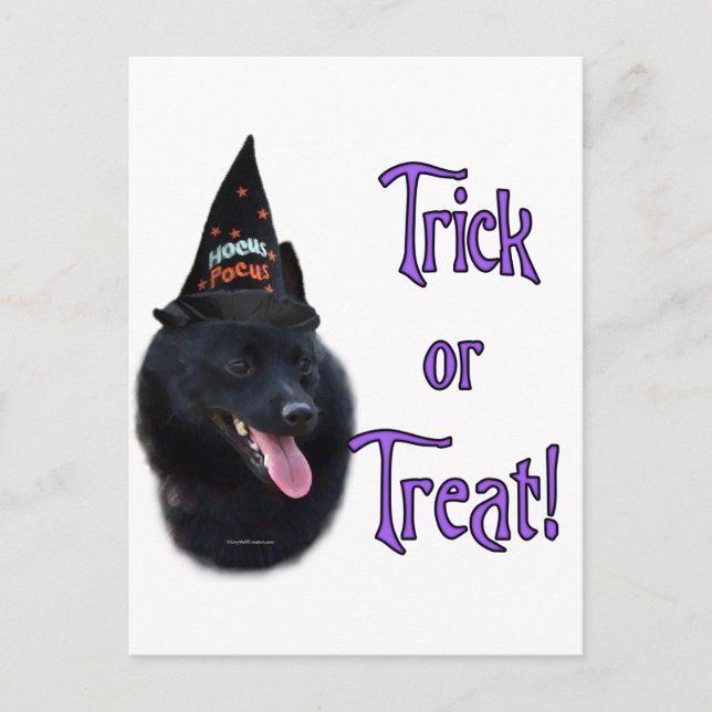 Cartão Postal Truque Schipperke (Frente)
