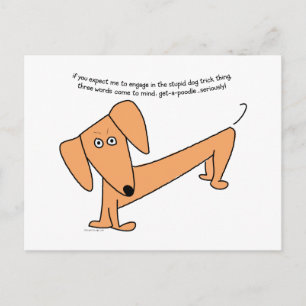 Cartão Postal Truques De Cão Estúpidos...para Poodles!