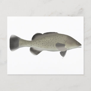Cartão Postal Trut Cod