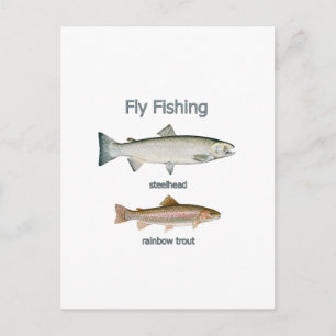 Cartão Postal Truta Arco-Íris para Pesca de Voo - Cabeça-de-Or