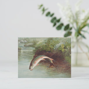 Cartão Postal Truta de Riacho Saltando por S.A. Kilbourne Peixe 