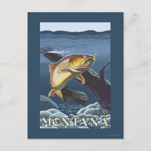 Cartão Postal Truta que pesca o secção transversal - Montana