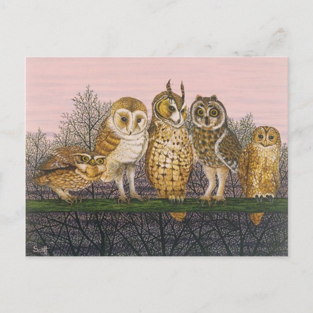 Cartão Postal Tu-whit (Frente)