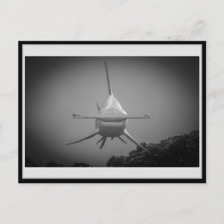 Cartão Postal Tubarão-cabeça-martelo BW 001 Carte postale ハ ン マ