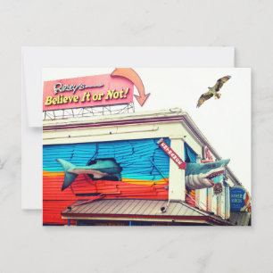 Cartão Postal Tubarão e Osprey