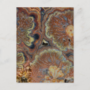 Cartão Postal Tubo de Flor Onyx