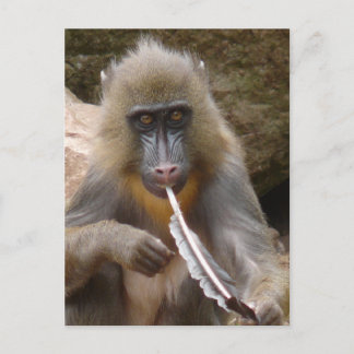 Cartão Postal Tubo de paz