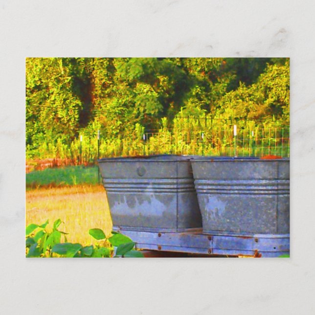 Cartão Postal Tubs de Nola (Frente)