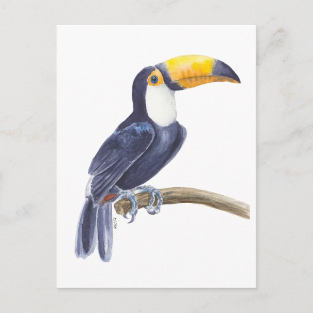 Cartão Postal Tucano, ave tropical (Frente)