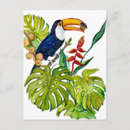 Cartão Postal Tucano Colorido Aquarela Pássaro Tropical