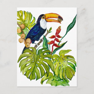 Cartão Postal Tucano Colorido Aquarela Pássaro Tropical
