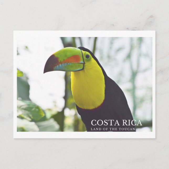 Cartão postal tucano na Costa Rica (Frente)