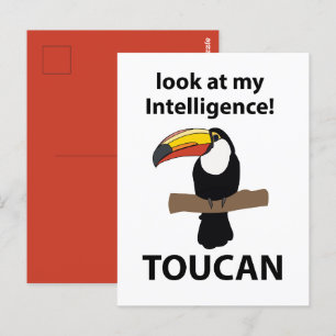 Cartão Postal Tucano Tropical Engraçado