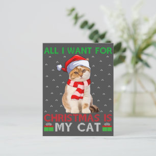Cartão Postal Tudo O Que Eu Quero Para O Natal É Meu Gato De Pap