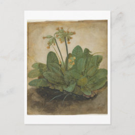 Cartão Postal Tufão de Primaveras de Albrecht Dürer