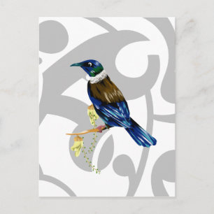 Cartão Postal Tui Pássaro NZ