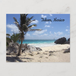 Cartão Postal Túlio, México - Praia - Palmeiras