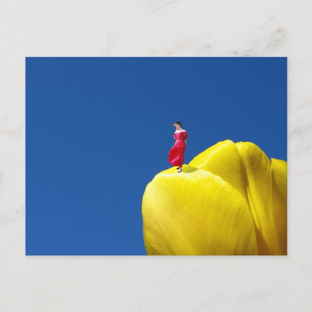 Cartão Postal Tulip (Frente)