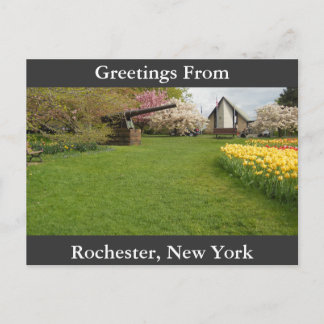 Cartão Postal Tulip Beds & Cannon