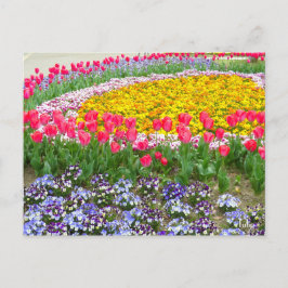 Cartão Postal Tulip [Cartão postal]