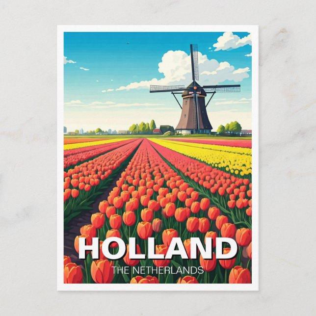 Cartão Postal Tulip Fields Windmill Holanda (Frente)