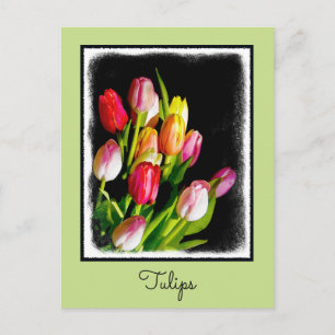 Cartão Postal Tulip Painting - Arte Flor Original