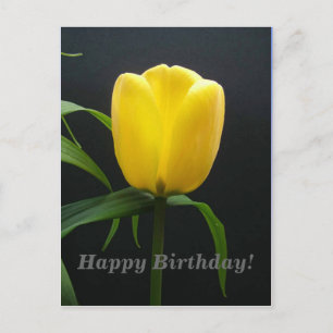 Cartão Postal tulipa amarela feliz aniversário