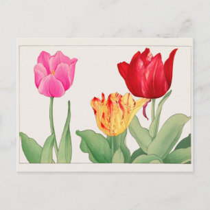 Cartão Postal Tulipa de Tanigami Konan
