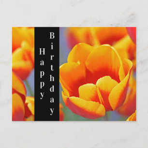 Cartão Postal Tulipa Elegante Amarela e Vermelha Feliz Aniversár