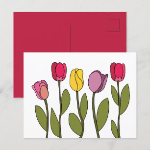 Cartão Postal Tulipa Floral Colorida Tulipa