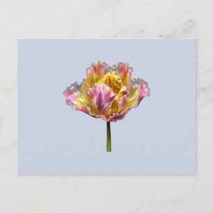 Cartão Postal Tulipa holográfica embaralhada iridescente