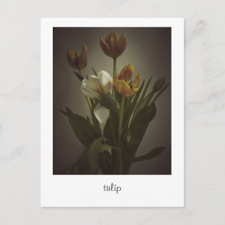 Cartão Postal "tulipa" por Heidi Rondak Fotografia