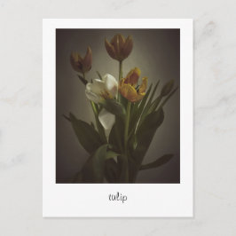 Cartão Postal "tulipa" por Heidi Rondak Fotografia