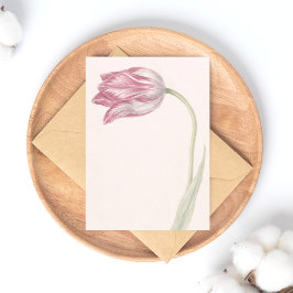 Cartão Postal Tulipa rosa e branca - Vintage Fine Art