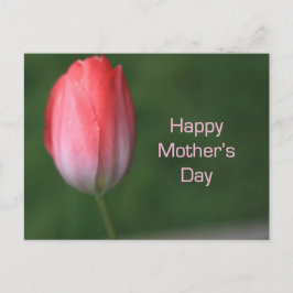 Cartão Postal tulipa vermelha, dia de as mães feliz