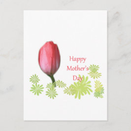Cartão Postal tulipa vermelha, dia de as mães feliz