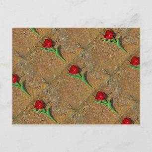 Cartão Postal Tulipa vermelha e amarela