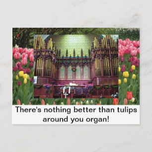 Cartão Postal Tulipas