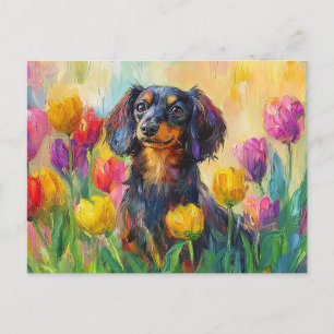 Cartão Postal Tulipas Coloridas Bonitas Dachshund